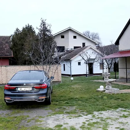 Vasilije Novi Knezevac